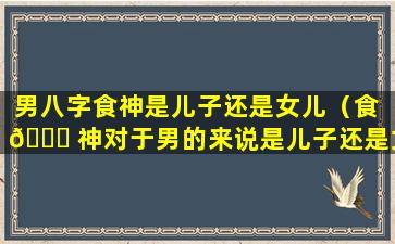 男八字食神是儿子还是女儿（食 🍀 神对于男的来说是儿子还是女儿）